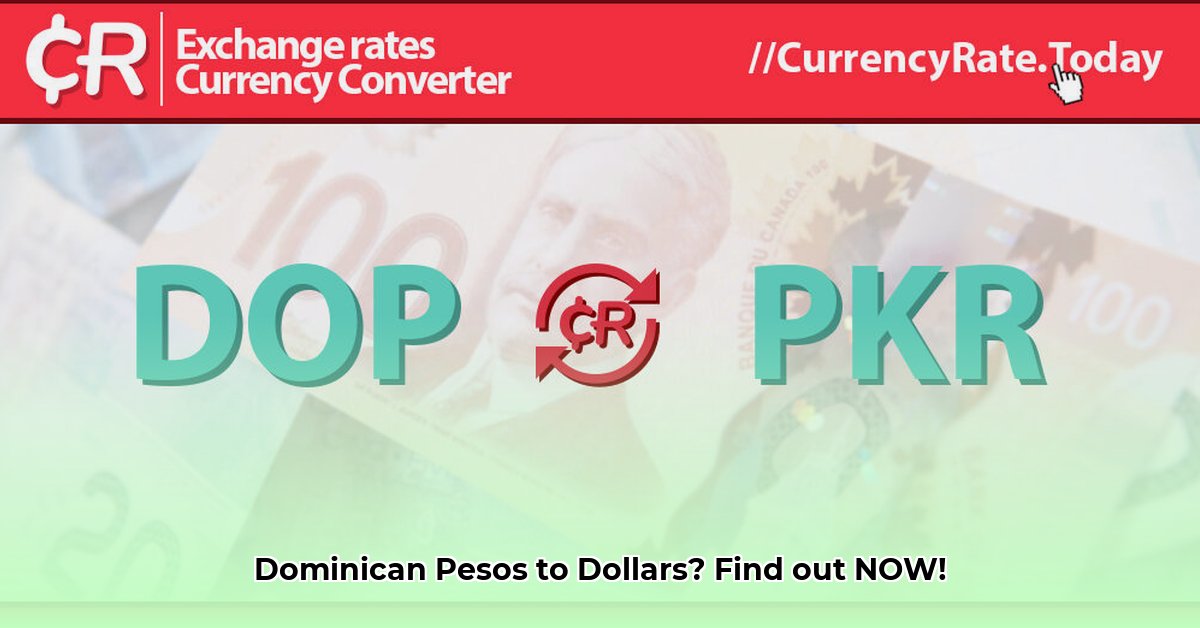 6-000-dominican-pesos-to-dollars